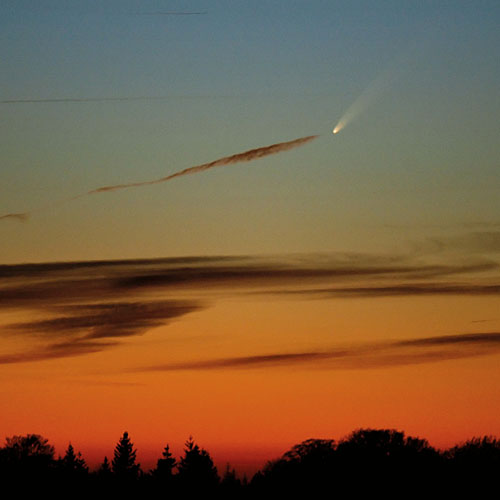 McNaught